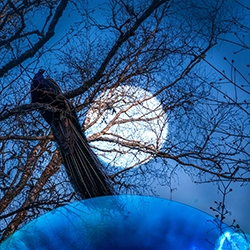 blue 2