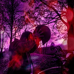 violet 3
