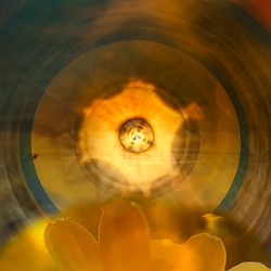 yellow 2