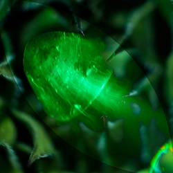green 1