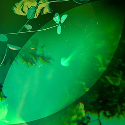 green 3