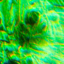 green 5