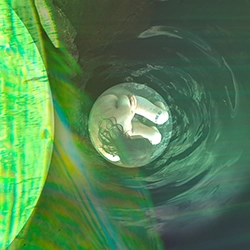 green 6