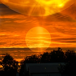 orange 8