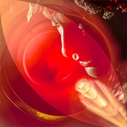 red 1