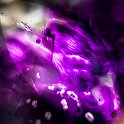 violet 1