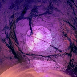 violet 2