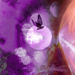violet 4