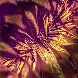 yellow 3